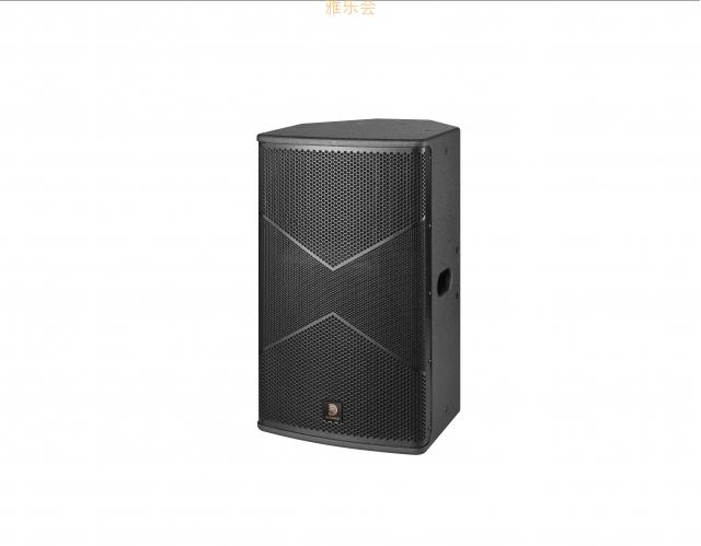 AVDANES专业音箱PK-1200